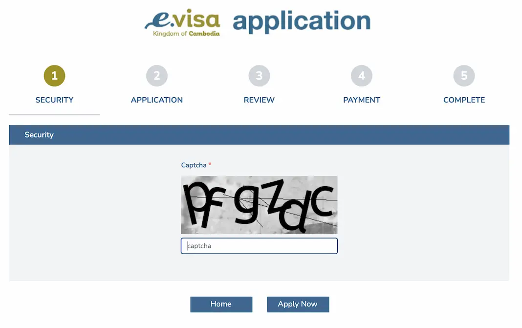 Visa application step 2 security captcha